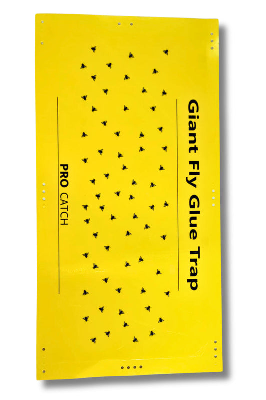 Pro Catch Giant Fly Glue Trap