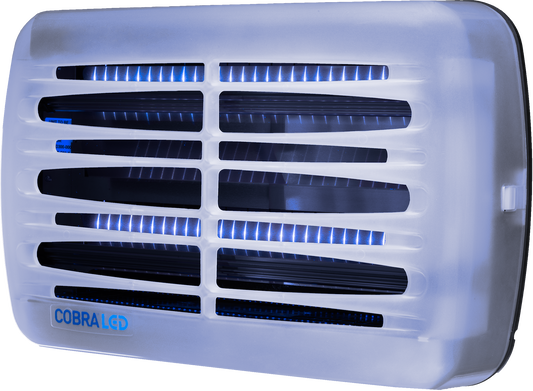 Brandenburg Cobra LED