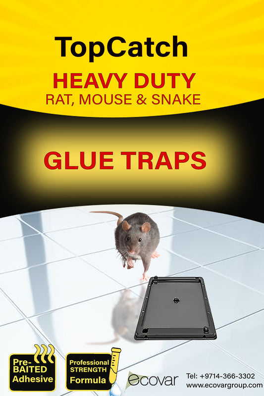 Topcatch Rat Glue Trap