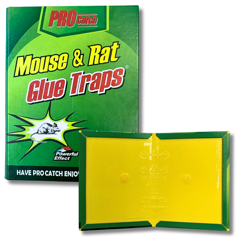 Image of Pro Catch Cardboard Mouse & Rat Glue Trap - Small (16 x 21.5 cm)