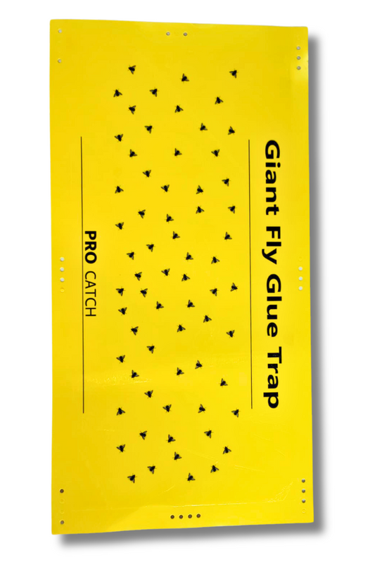 Image of Pro Catch Giant Fly Glue Trap ( Size:30*58.5Cm)