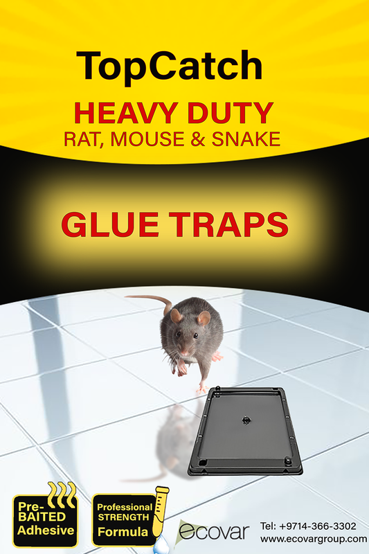 Image of Topcatch Rat Glue Trap